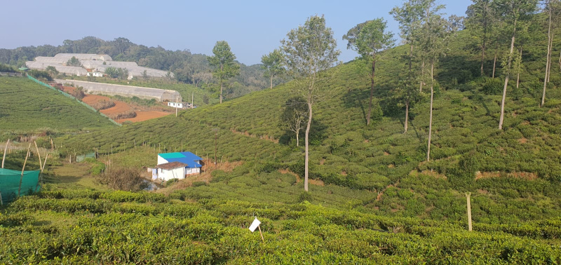  4 Acre Residential Plot for Sale in Coonoor, Nilgiris