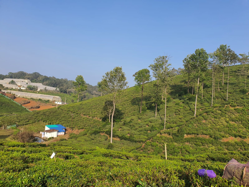  4 Acre Residential Plot for Sale in Coonoor, Nilgiris