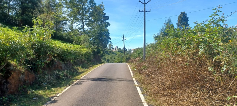  2 Acre Residential Plot for Sale in Ketti, Nilgiris
