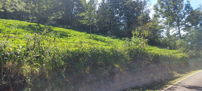  2 Acre Residential Plot for Sale in Ketti, Nilgiris