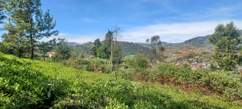  2 Acre Residential Plot for Sale in Ketti, Nilgiris