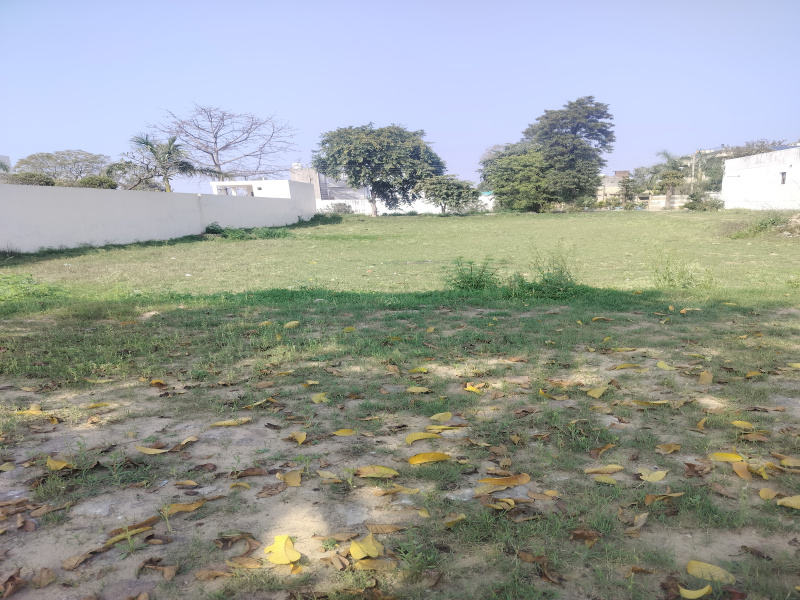  10 Marla Residential Plot for Sale in Jalandhar Cantt.