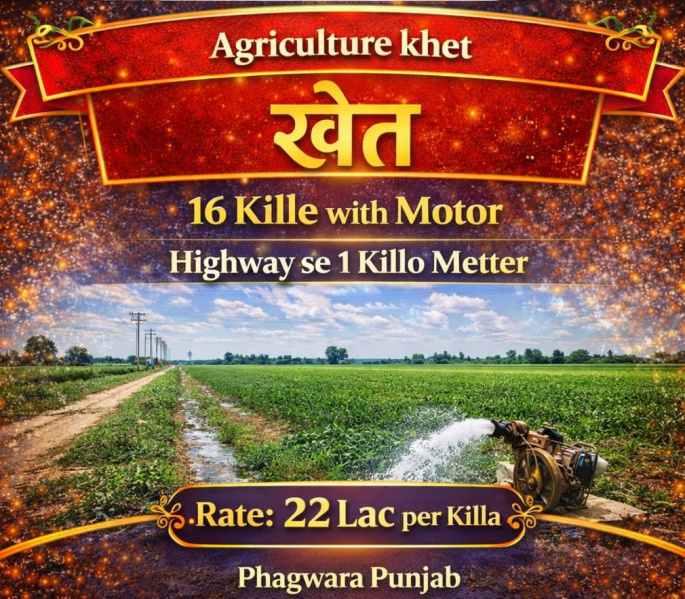  16 Acre Agricultural/Farm Land for Sale in Phagwara, Kapurthala