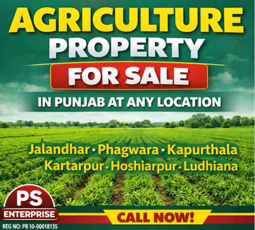  25 Acre Agricultural/Farm Land for Sale in Deep Nagar, Jalandhar