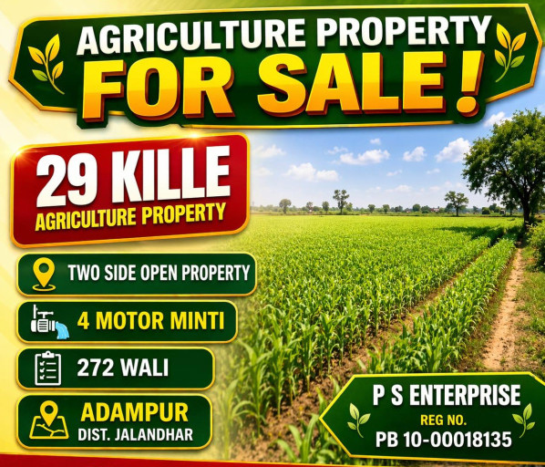  29 Acre Agricultural/Farm Land for Sale in Adampur, Jalandhar
