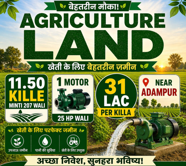  12 Acre Agricultural/Farm Land for Sale in Adampur, Jalandhar
