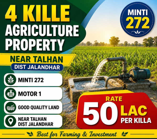  4 Acre Agricultural/Farm Land for Sale in Jandu Singha, Jalandhar