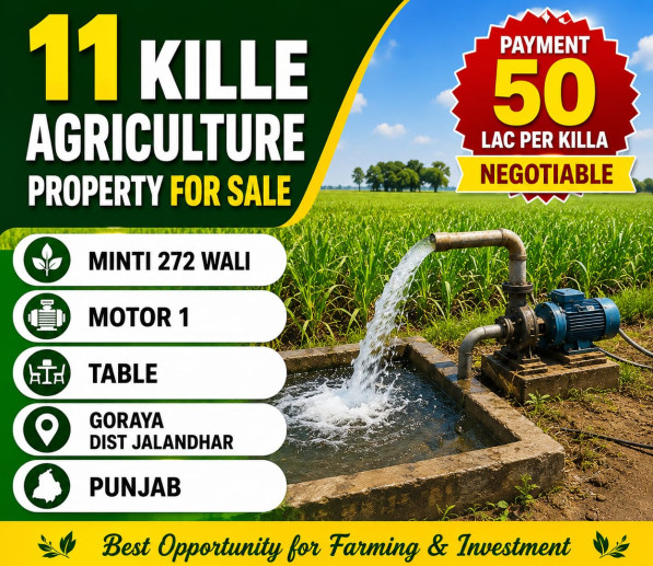  11 Sq.ft. Agricultural/Farm Land for Sale in Adampur, Jalandhar
