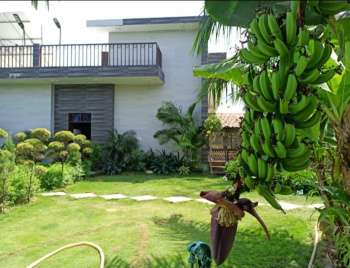  Residential Plot for Sale in Dasna, Ghaziabad