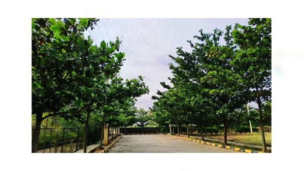  1200 Sq.ft. Residential Plot for Sale in Soukya Road, Bangalore