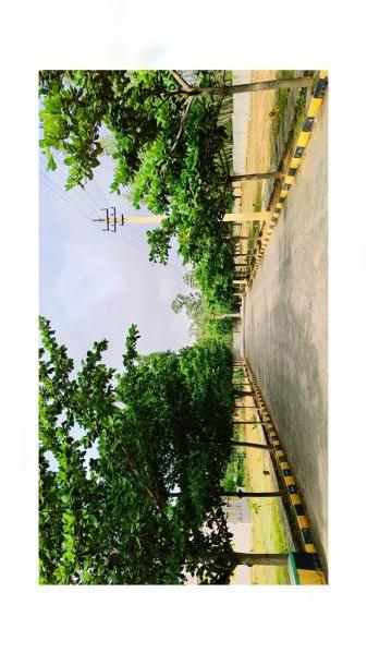  1200 Sq.ft. Residential Plot for Sale in Soukya Road, Bangalore