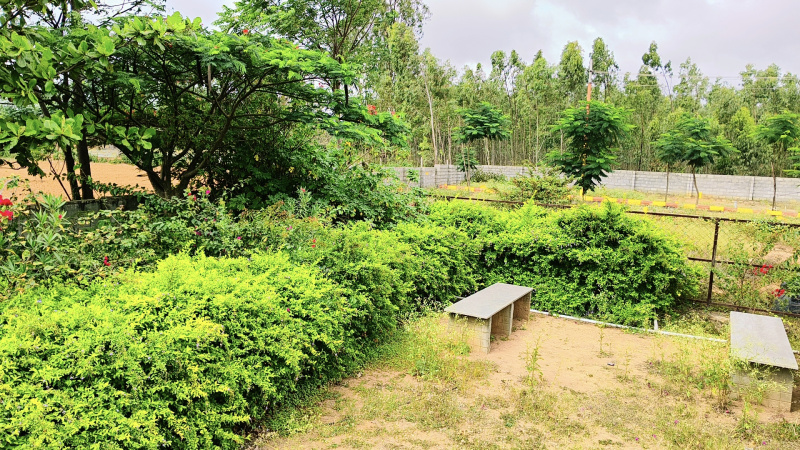  1200 Sq.ft. Residential Plot for Sale in Soukya Road, Bangalore