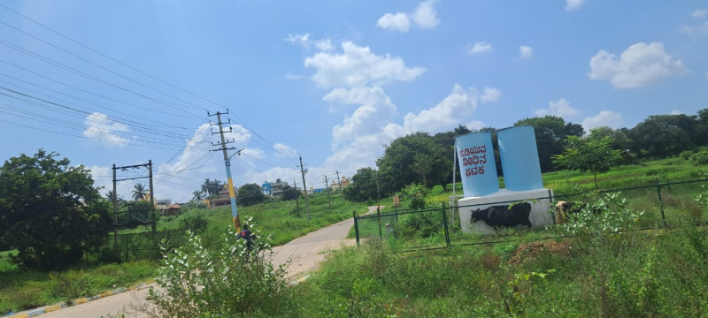  1200 Sq.ft. Residential Plot for Sale in Rajajinagar, Bangalore