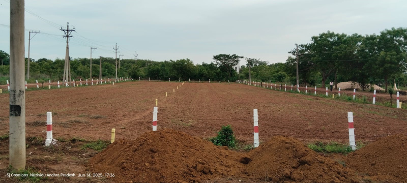 48000 Sq. Yards Residential Plot for Sale in Islampet, Eluru