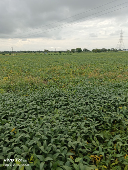 Agricultural Land for Sale in Pithampur Industrial Area, Dhar