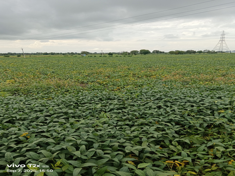 300000 Sq.ft. Agricultural/Farm Land for Sale in Pithampur Industrial Area, Dhar