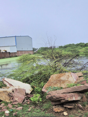  120651 Sq.ft. Industrial Land for Sale in Malanpur, Gwalior