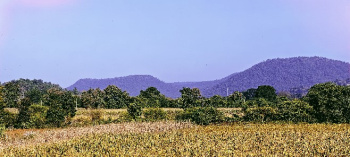  Agricultural Land for Sale in Simrol, Indore