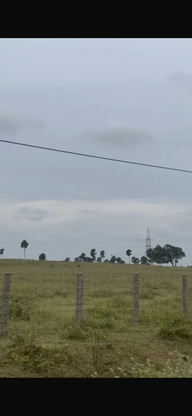 116 Acre Residential Plot for Sale in Othakalmandapam, Coimbatore