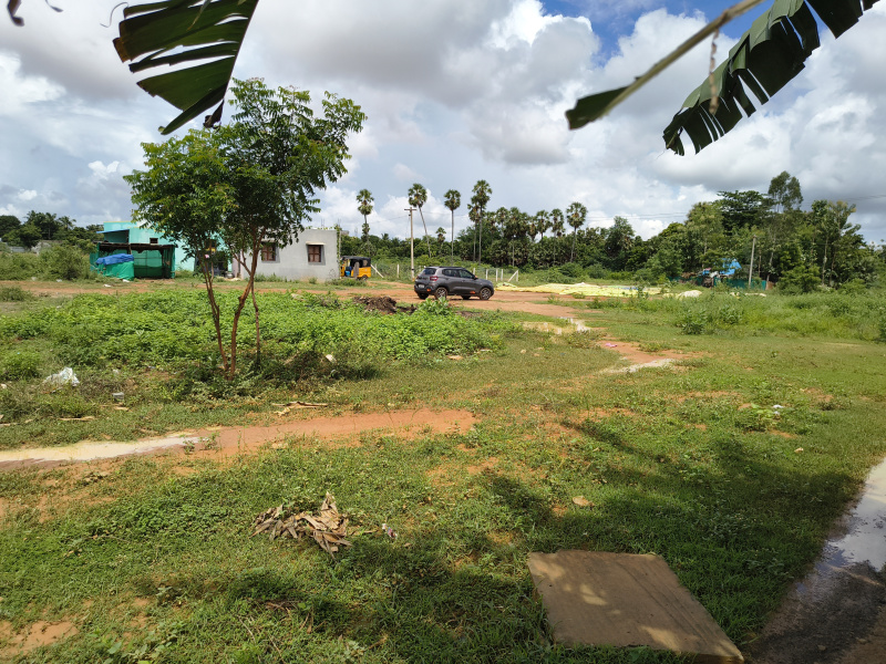2400 Sq.ft. Residential Plot for Sale in Vadalur, Cuddalore