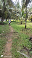  Agricultural Land for Rent in Ring Road, Mysore
