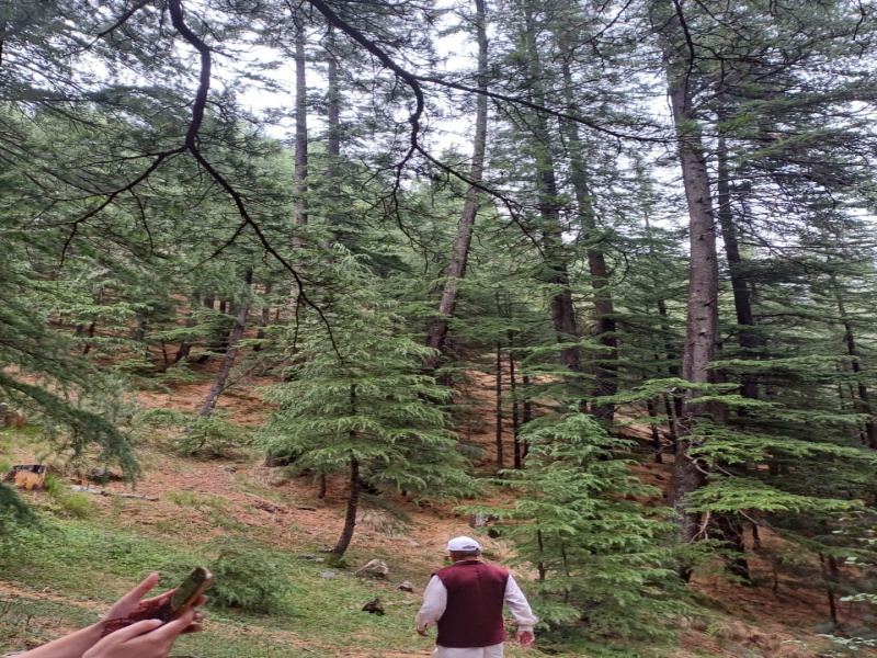 19 Biswa Commercial Land for Sale in Narkand, Shimla