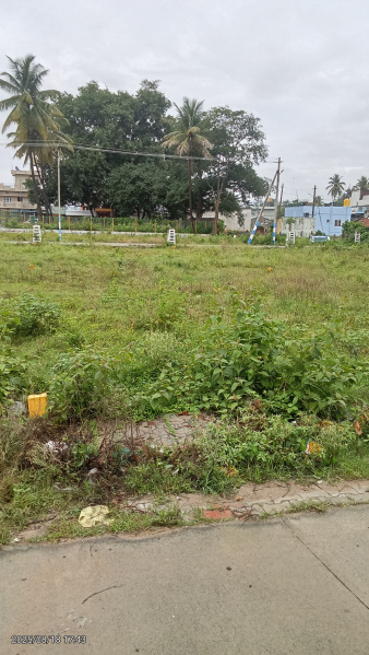 1500 Sq.ft. Commercial Land for Sale in Chiknayakanhalli, Tumkur