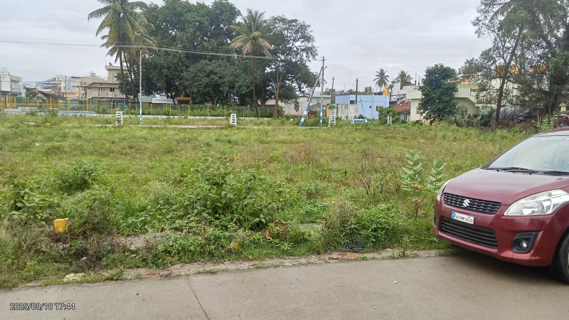  1500 Sq.ft. Commercial Land for Sale in Chiknayakanhalli, Tumkur