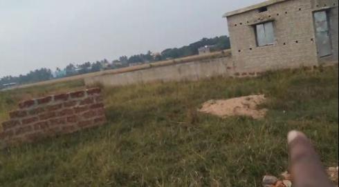 2500 Sq.ft. Residential Plot for Sale in Pipili, Puri