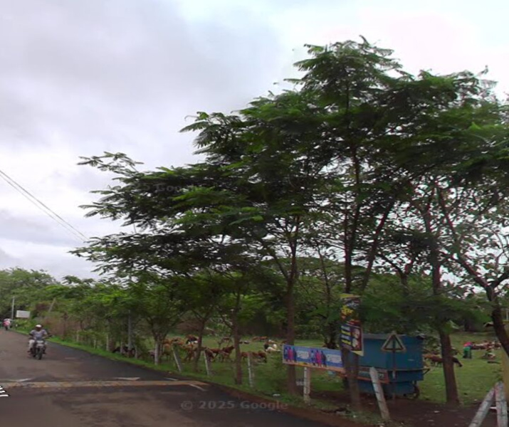  56 Guntha Residential Plot for Sale in Nipani, Belagavi
