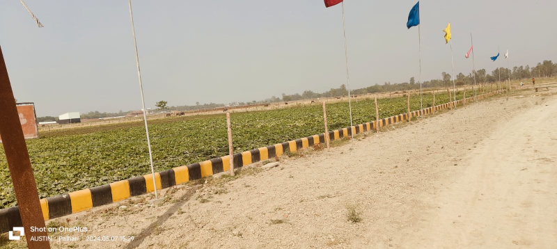 1500 Sq.ft. Residential Plot for Sale in Palhari, Barabanki