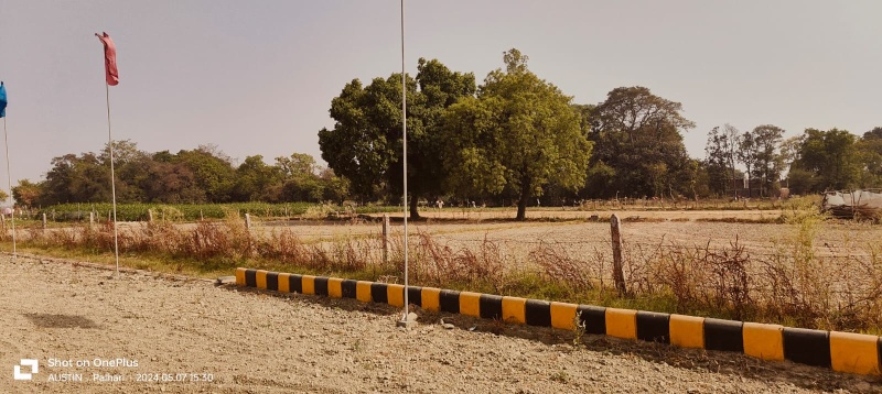 1500 Sq.ft. Residential Plot for Sale in Palhari, Barabanki