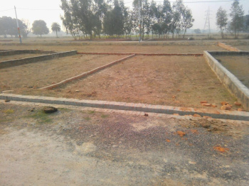 Residential Plot for Sale in Robertsganj, Sonebhadra