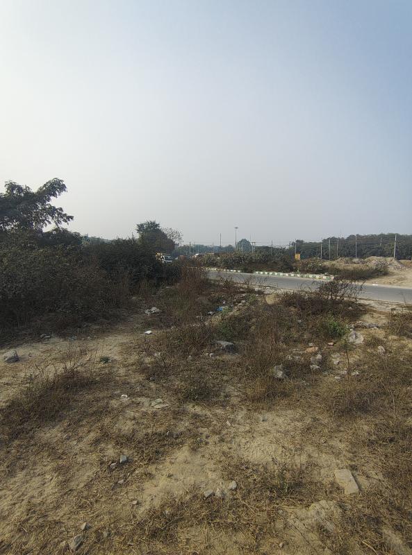  300 Sq. Yards Commercial Land for Sale in Barhi, Sonipat