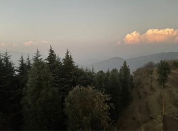  Residential Plot for Sale in Amghari, Nainital