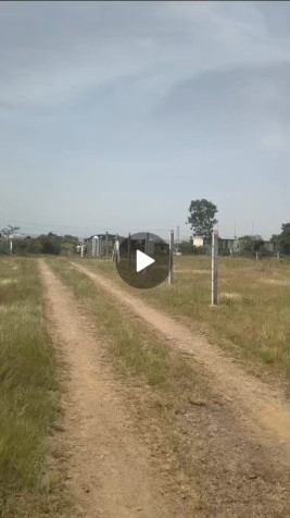 4 Acre Residential Plot for Sale in Saswad, Pune