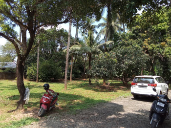 Residential Plot for Sale in Mannuthy, Thrissur