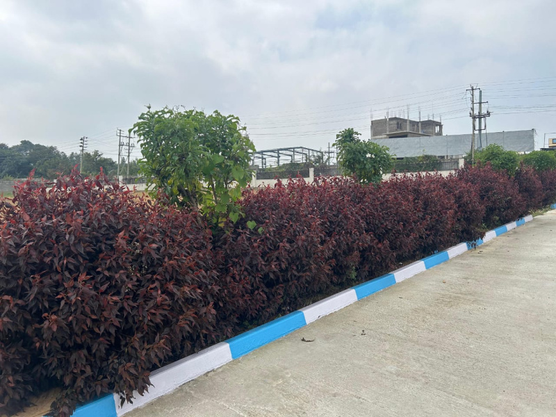 1200 Sq.ft. Residential Plot for Sale in Banashankari, Bangalore