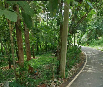 Residential Plot for Sale in Kaliyakkavilai, Kanyakumari