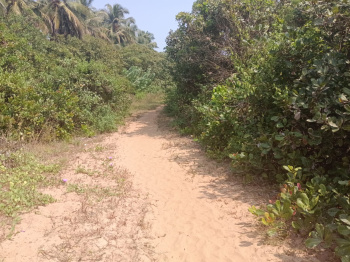  Agricultural Land for Sale in Vengurla, Sindhudurg