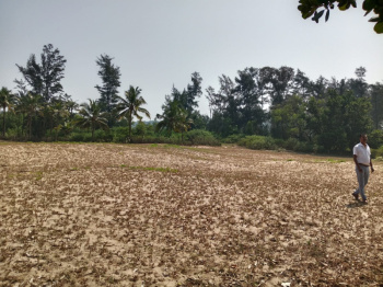  Agricultural Land for Sale in Colva, South Goa, 