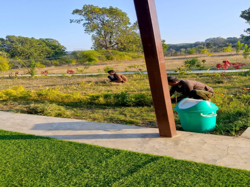  200000 Sq.ft. Guest House for Sale in Bandhavgarh National Park, Umaria