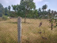  Residential Plot for Sale in Velur, Namakkal