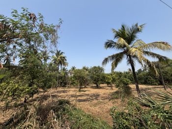  Residential Plot for Sale in Kharekuran, Palghar