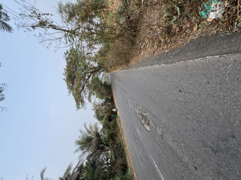 Residential Plot for Sale in Mahim Road, Palghar