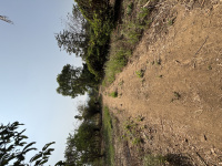  Residential Plot for Sale in Manor, Palghar