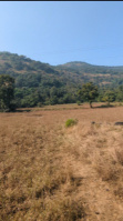  Agricultural Land for Sale in Lonavala, Pune