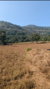 Agricultural Land for Sale in Lonavala, Pune