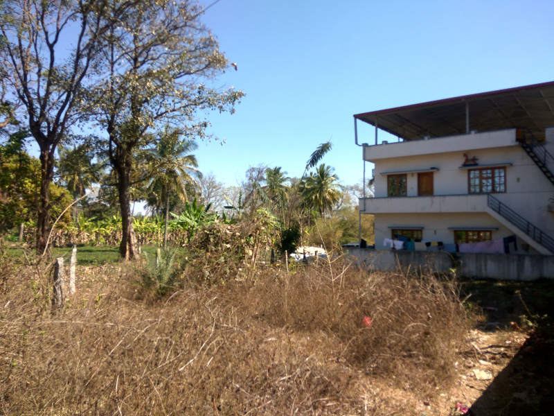  6 Cent Residential Plot for Sale in Kushalnagar, Kodagu