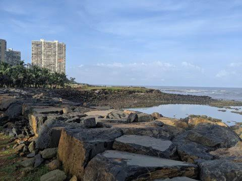 12 Acre Residential Plot for Sale in Walkeshwar, Mumbai